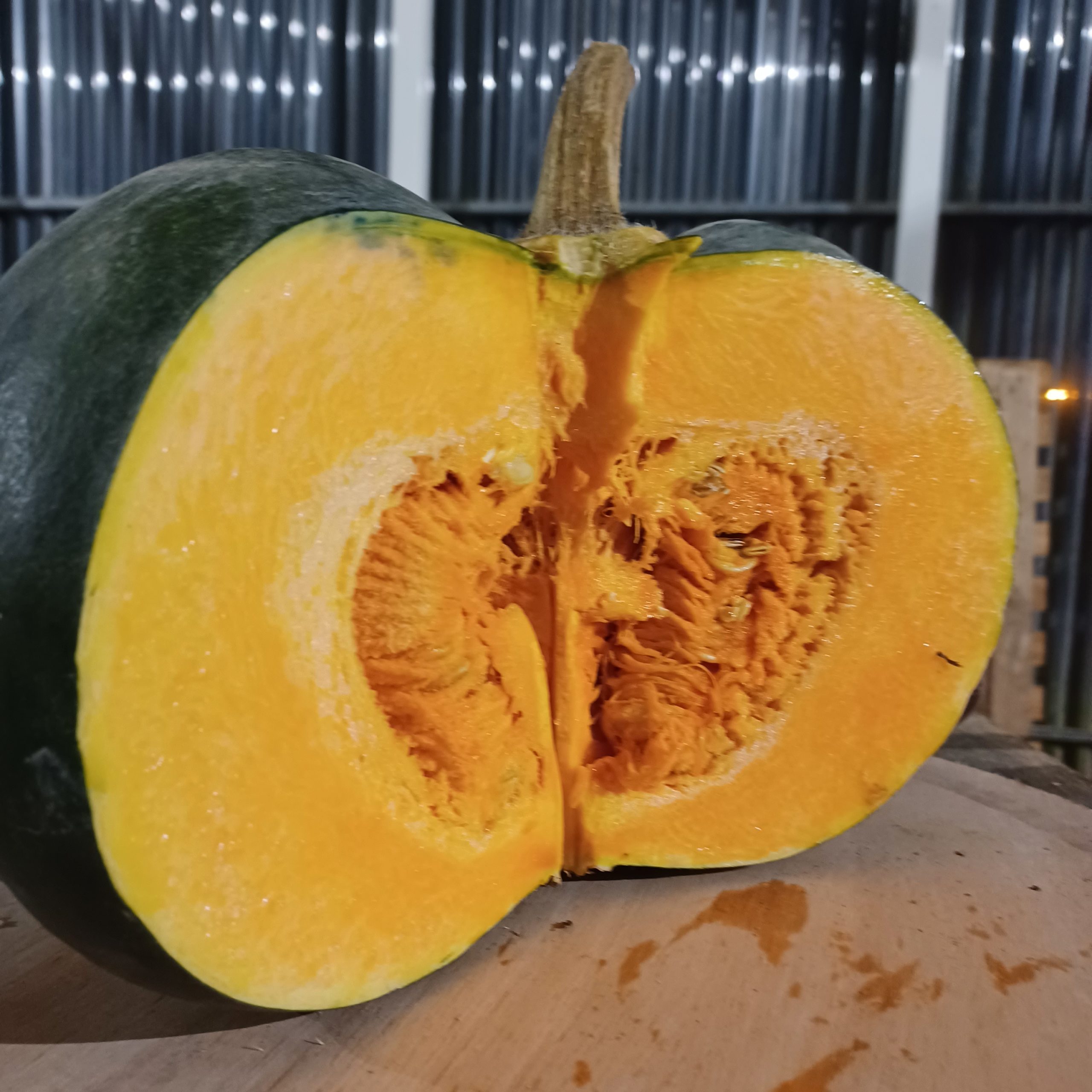 Courge musquée, Vendues individuellement, 0,83 - 1,65 kg 